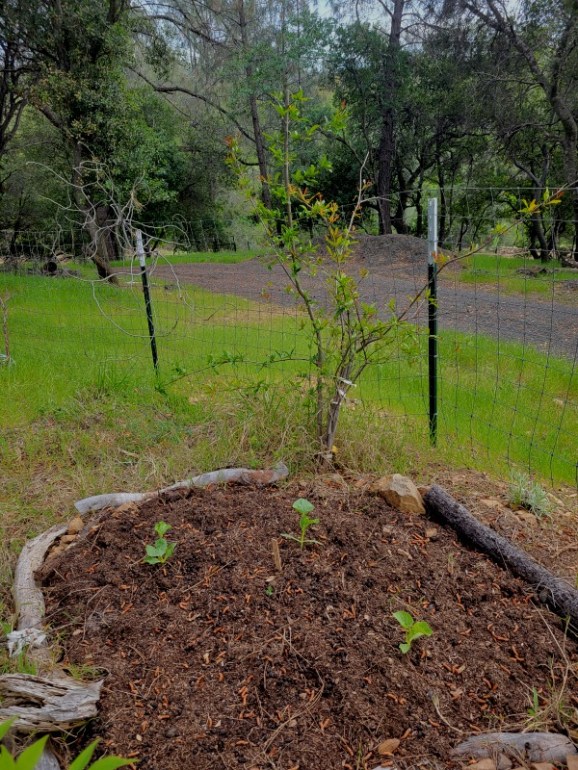 20240427_164252 20240427_164252