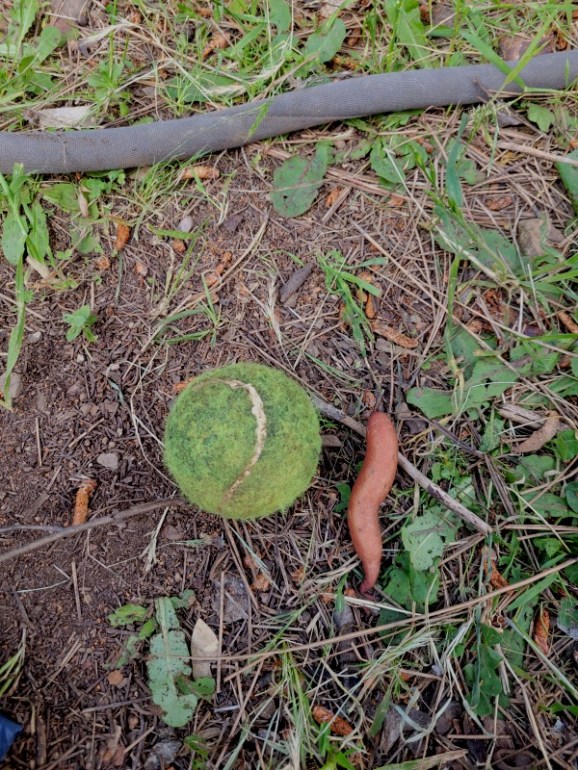 20240424_164329 20240424_164329