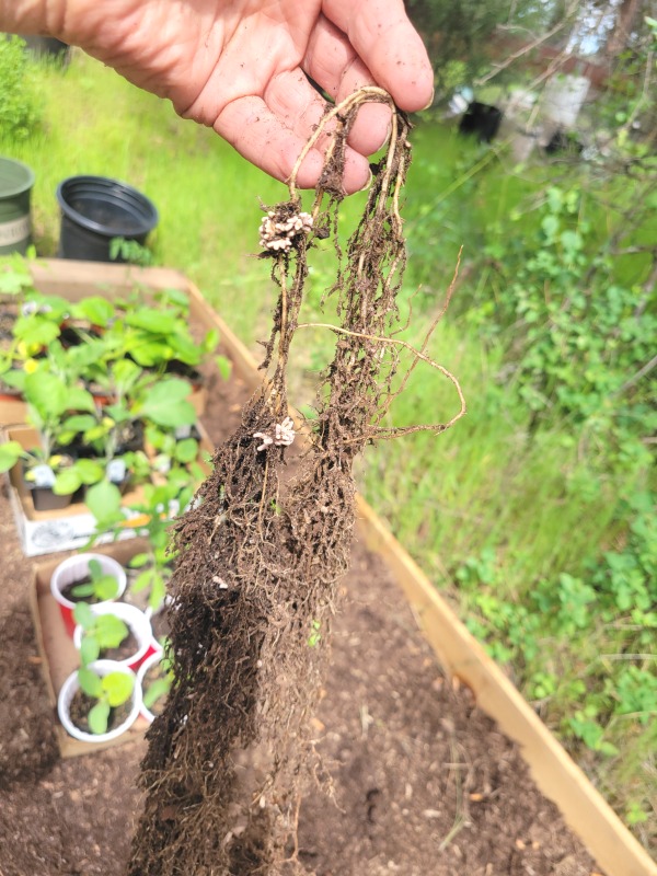 20240416_153024 20240416_153024