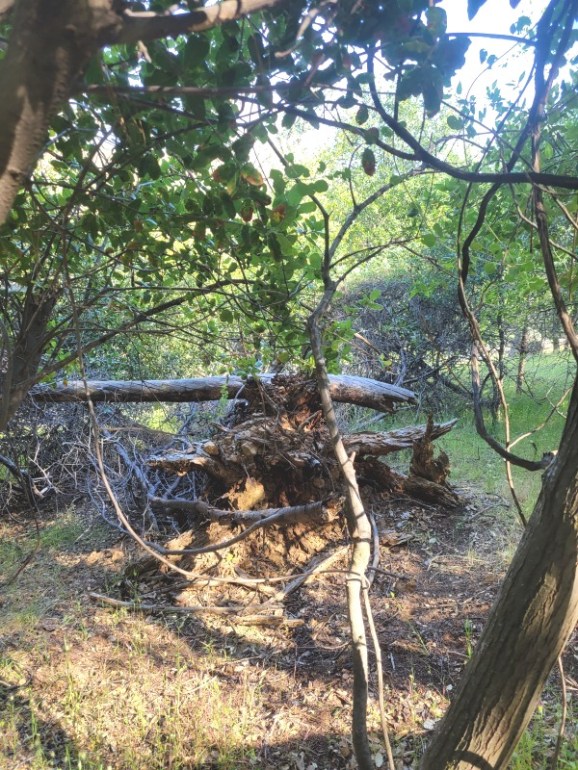 20240516_164248 20240516_164248