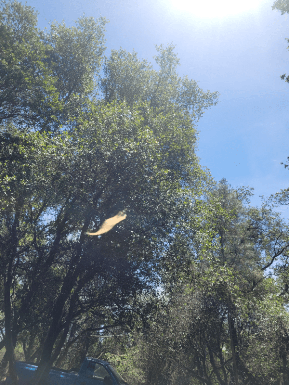 20240514_134006 20240514_134006