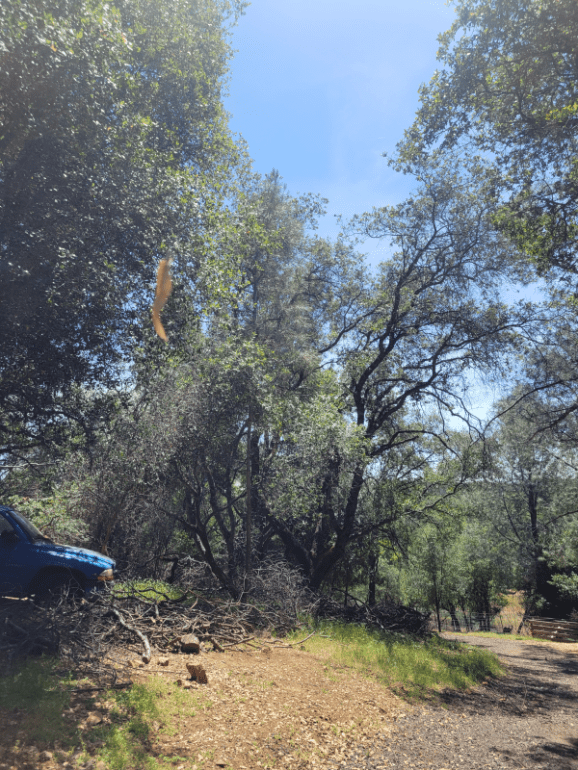 20240514_134003 20240514_134003