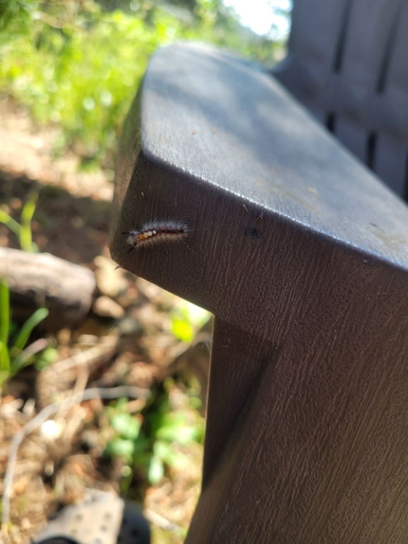 20240513_154603 20240513_154603