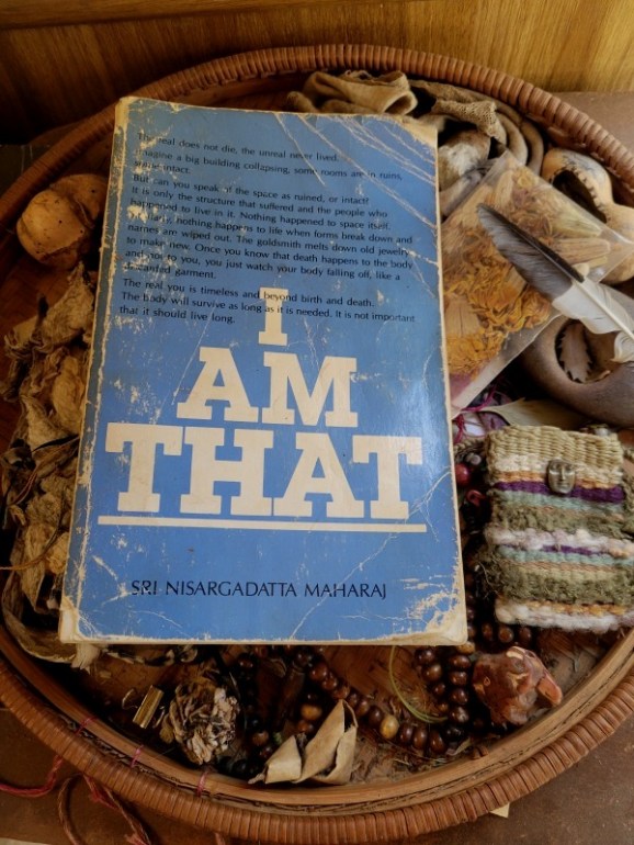 20240615_101441 20240615_101441