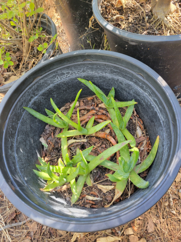 20240613_163441 20240613_163441