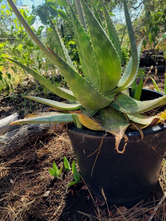 20240613_163310 20240613_163310