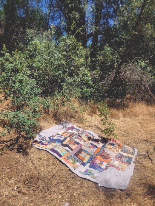 20240610_143430 20240610_143430