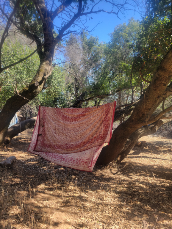 20240610_172253 20240610_172253