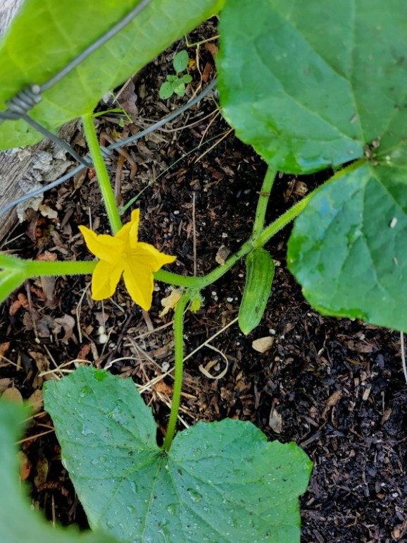 20240531_172429 20240531_172429