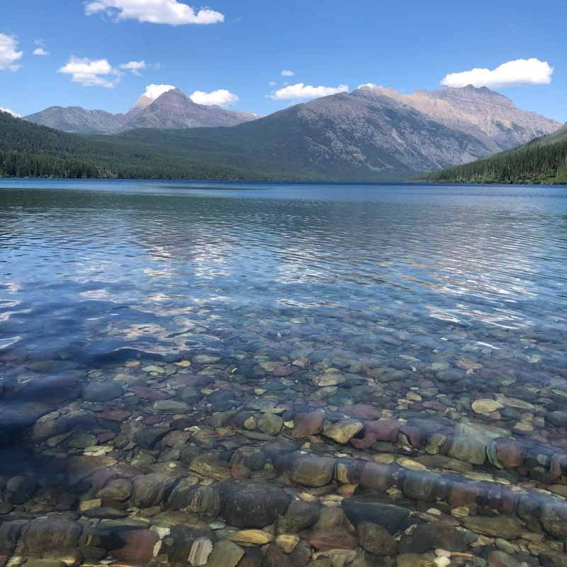 FB_IMG_1722360798964