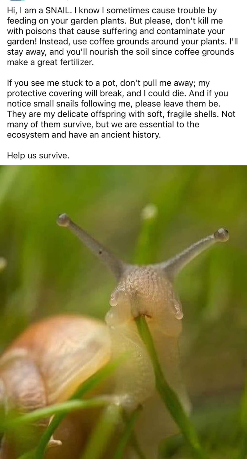 FB_IMG_1721584629517