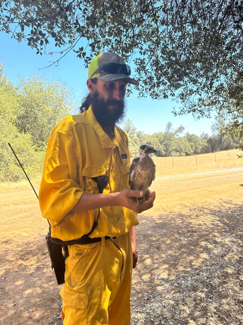 FB_IMG_1720286543268