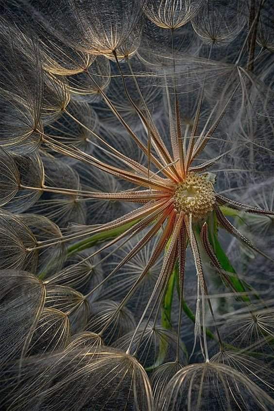 FB_IMG_1723861461891 FB_IMG_1723861461891