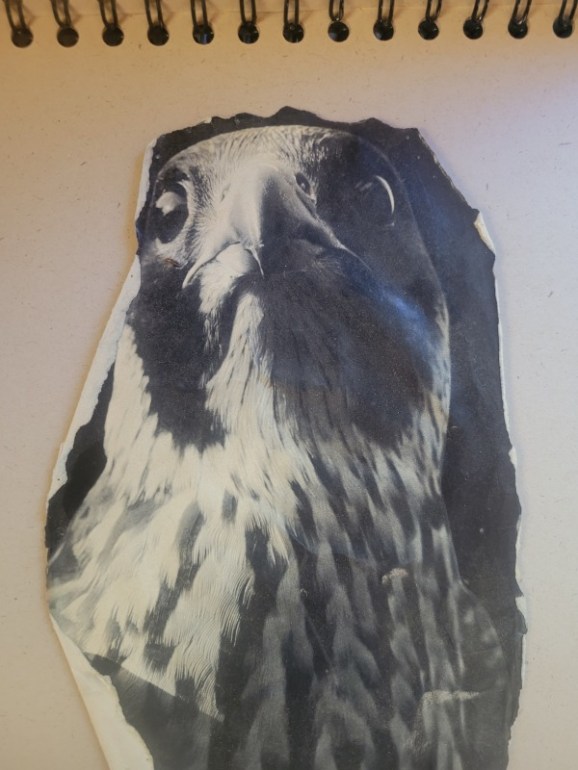 20240816_154639 20240816_154639