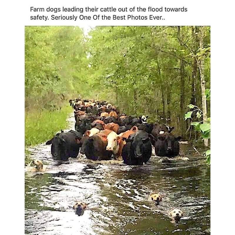 FB_IMG_1723334739873 FB_IMG_1723334739873