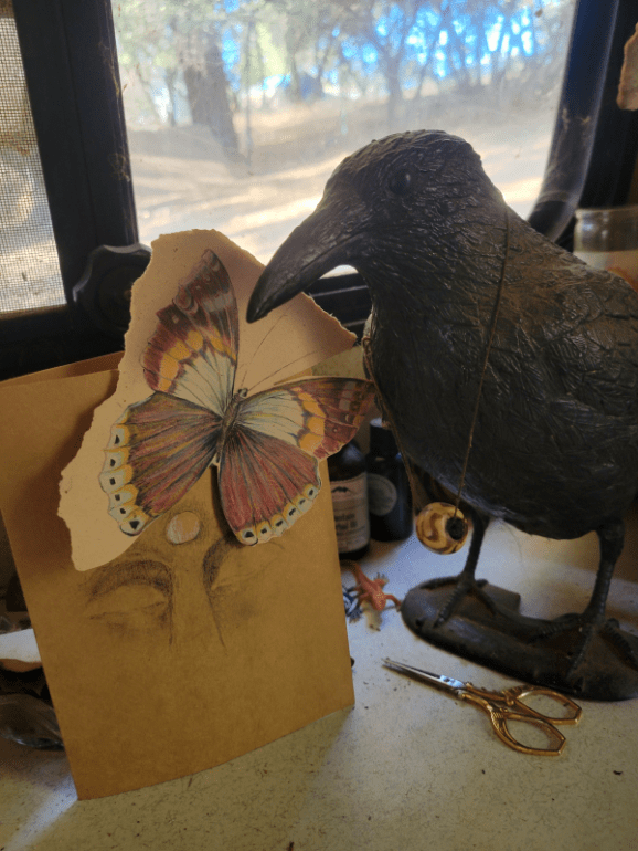 20240809_183823 20240809_183823