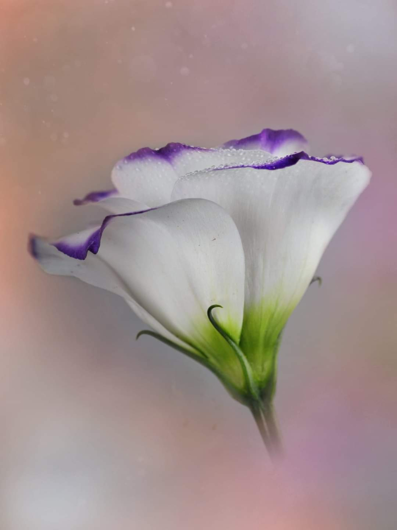 FB_IMG_1726878224100 FB_IMG_1726878224100