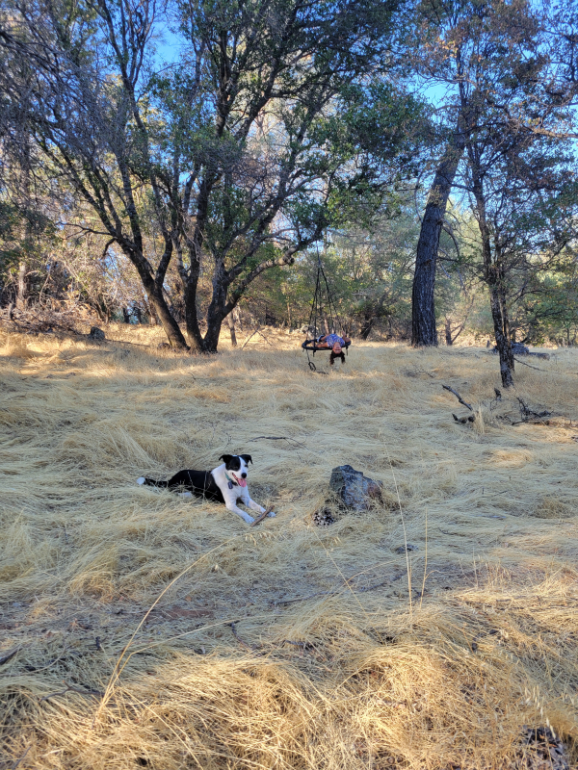 20240921_165752 20240921_165752