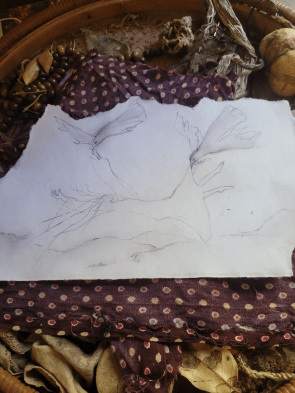 20240908_172209 20240908_172209