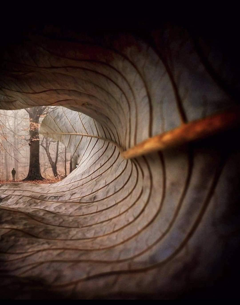 FB_IMG_1729743148421