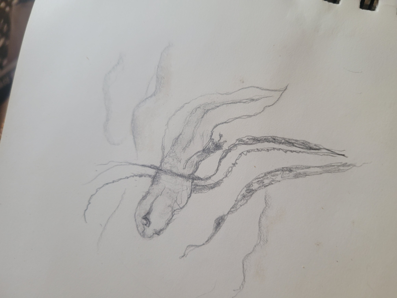 20241009_160845 20241009_160845