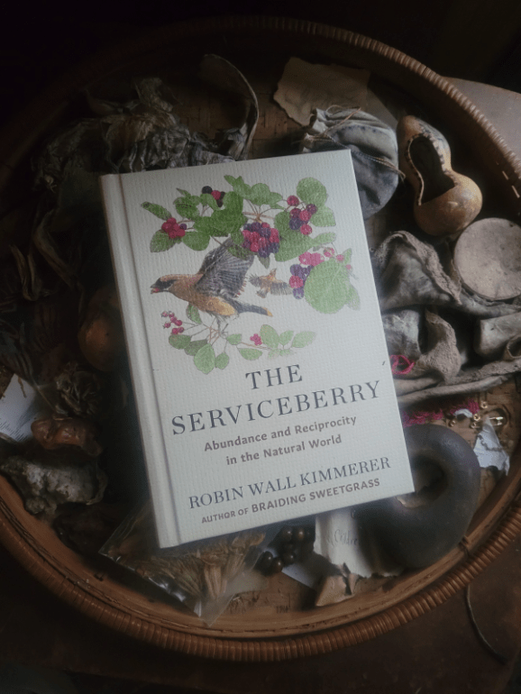 20241120_160949 20241120_160949