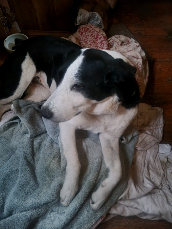 20241119_162841 20241119_162841