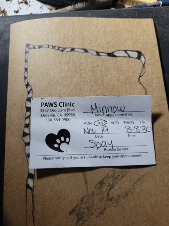 20241118_181041 20241118_181041