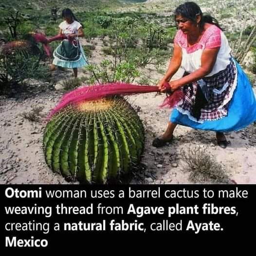 FB_IMG_1731511978381