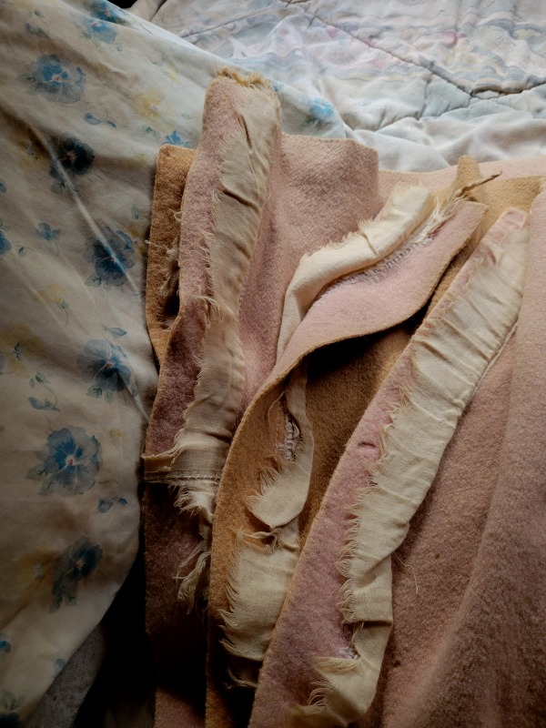 20241114_152958 20241114_152958