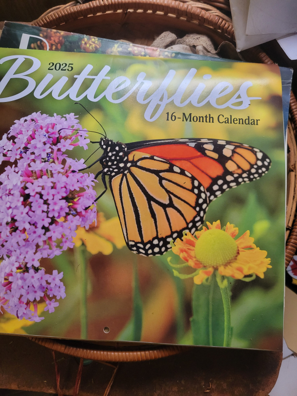 20241223_122029 20241223_122029