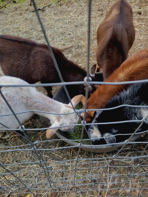 20241210_154213 20241210_154213