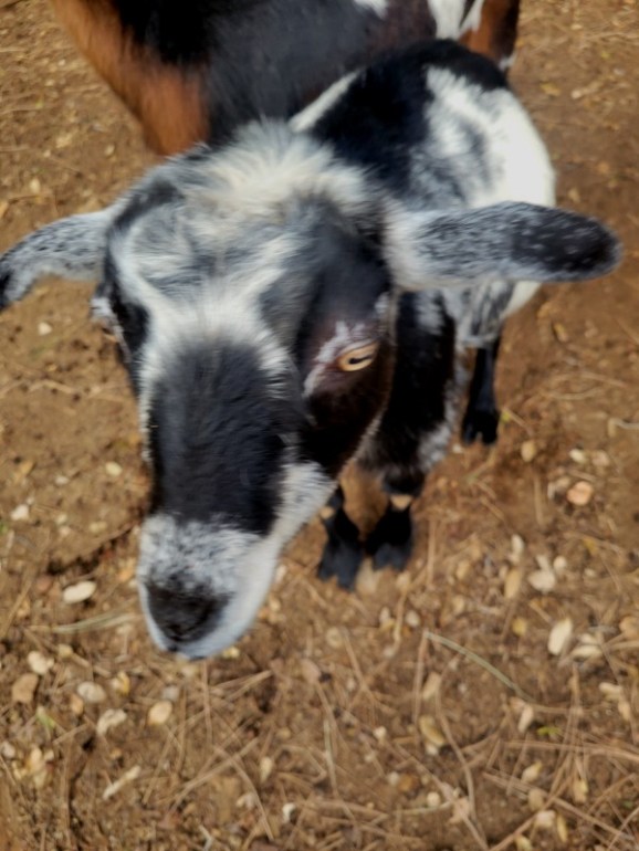 20241210_153759 20241210_153759