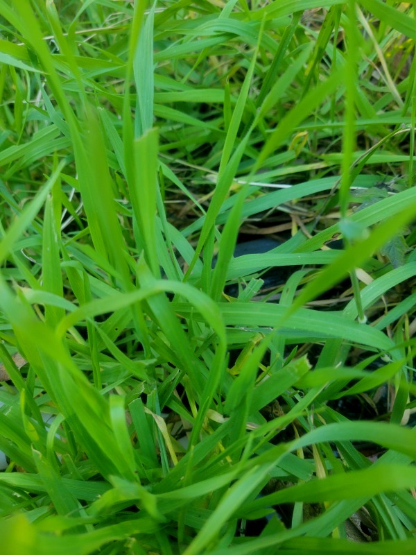 20241202_155918 20241202_155918