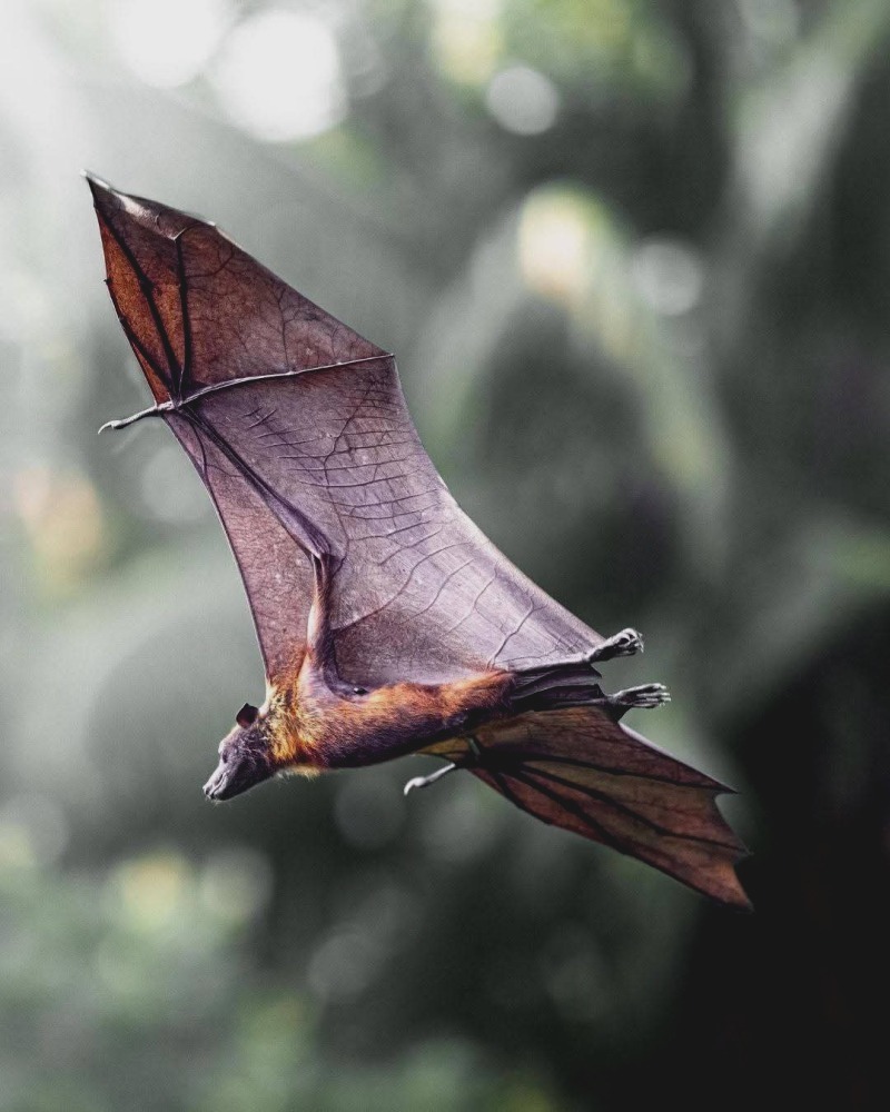 FB_IMG_1737146234332