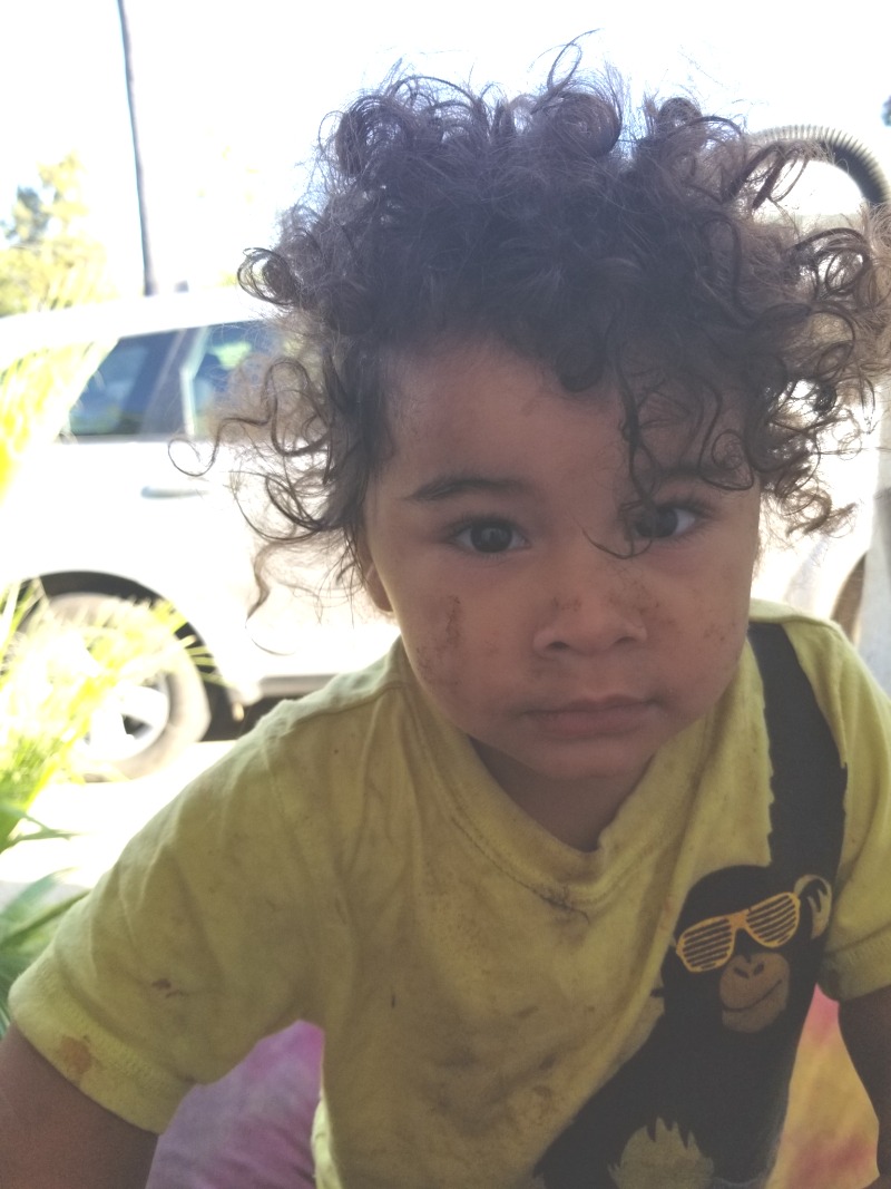 IMG_20250105_155536 IMG_20250105_155536