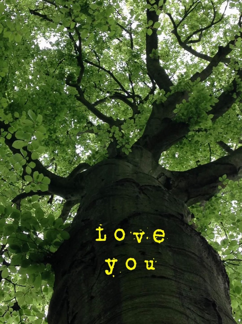 FB_IMG_1738774152727