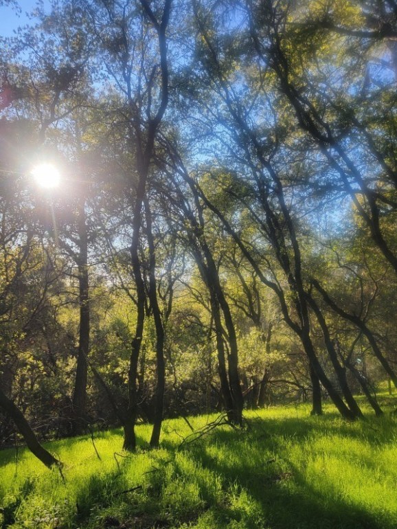 20250323_175711 20250323_175711