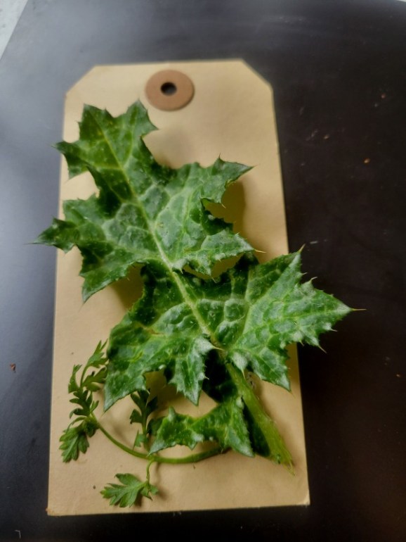 20250317_112708 20250317_112708