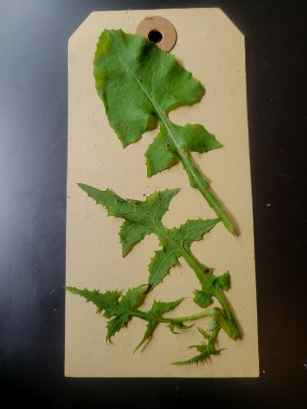 20250315_143012 20250315_143012