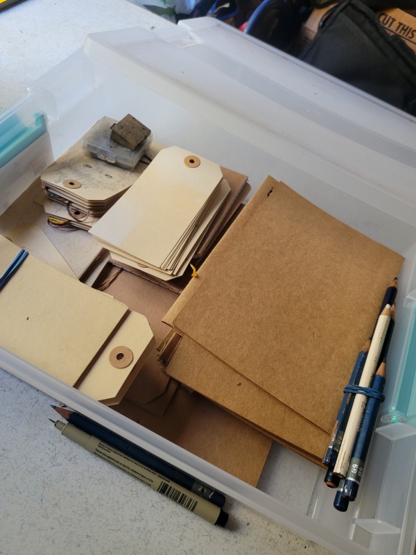 20250303_163817 20250303_163817