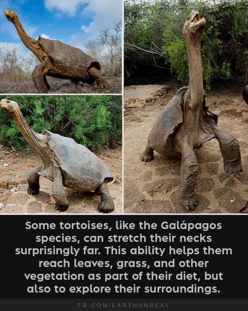 FB_IMG_1745336000562