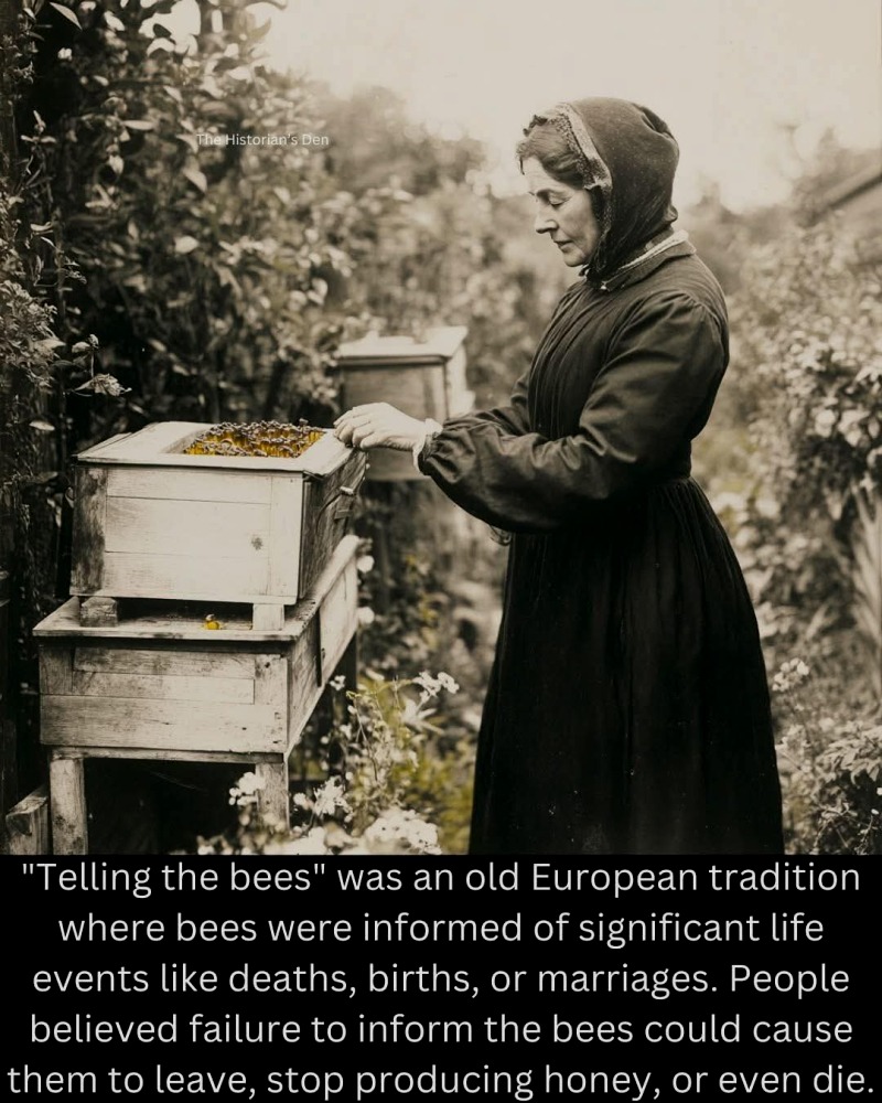 FB_IMG_1745181732240