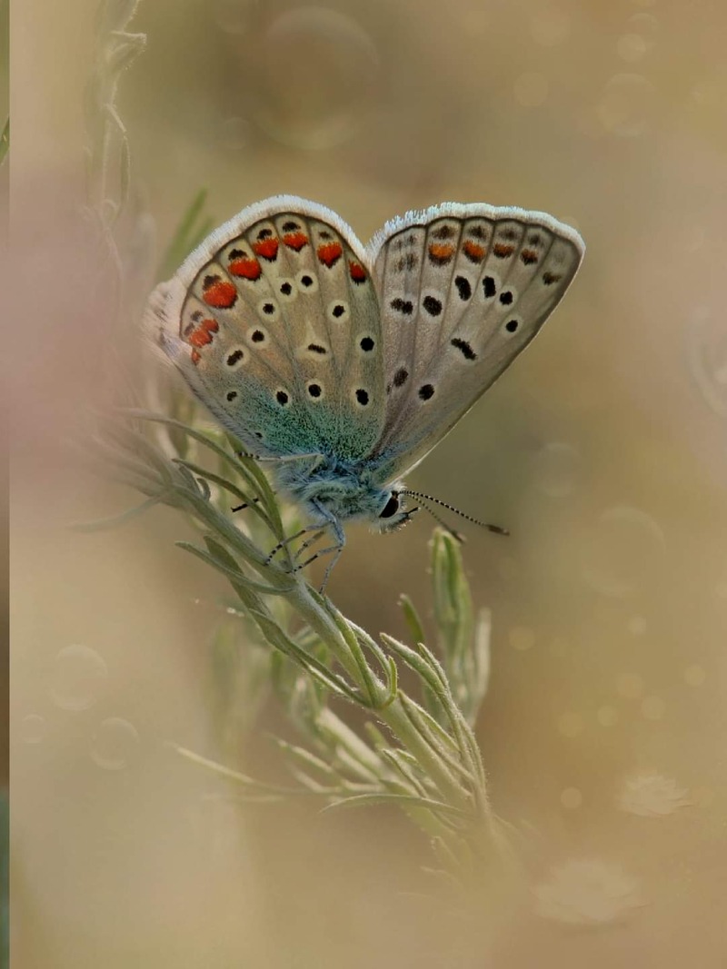 FB_IMG_1727754263627