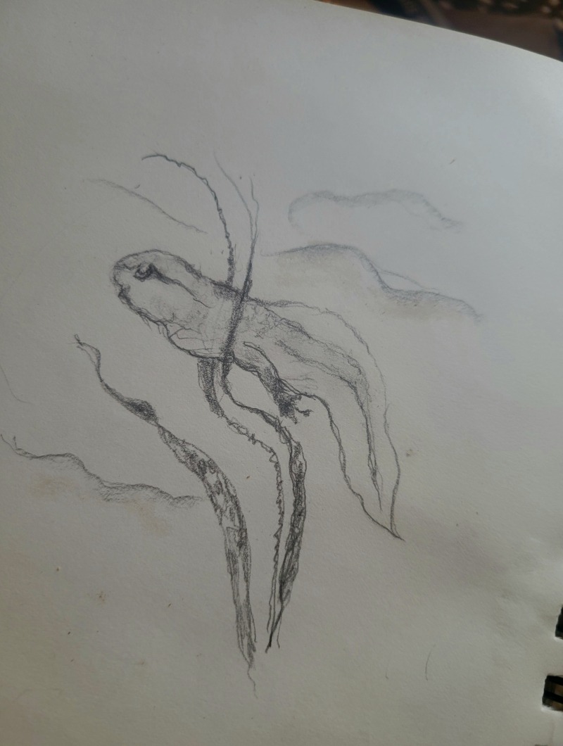 20241012_142701 20241012_142701