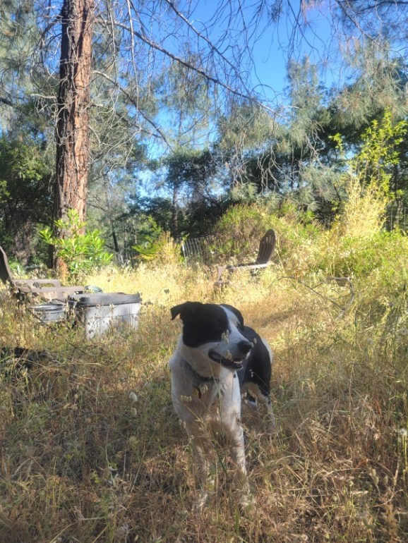 20250519_173337 20250519_173337