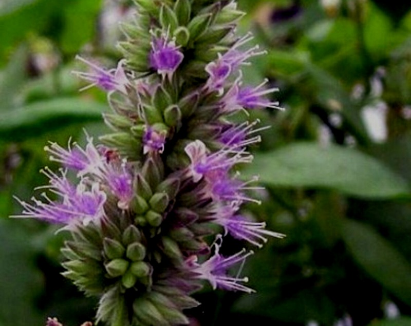 Il_1190x945.5566029005_4z43