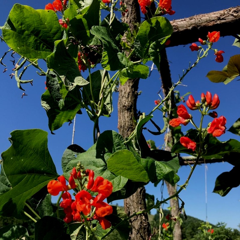 Il_794xN.6340255544_20p7