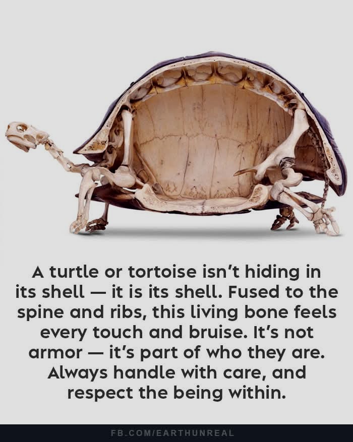 FB_IMG_1749428896665