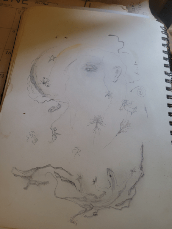 20250608_152902 20250608_152902